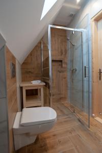 a bathroom with a toilet and a shower at Apartamenty - Droga do Walczaków 37a in Zakopane