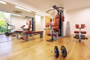 Fitness centrum a/nebo fitness zařízení v ubytování Rezidence Vyšehrad