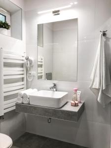 クリニツァ・ズドルイにあるWilla AMBERの白いバスルーム(シンク、鏡付)