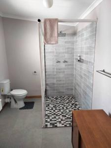 a bathroom with a shower with a toilet at Via the Grapevine 3 bedroom house private parking in Colesberg