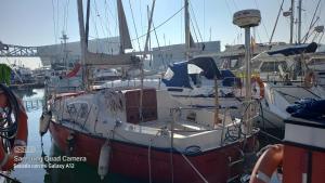 una barca ormeggiata in un porto turistico con altre imbarcazioni di Barco el viento a Barcellona