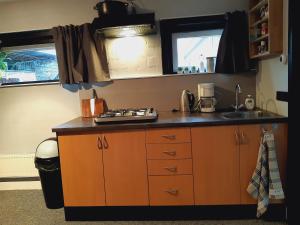 a kitchen with a sink and a counter top at Vakantiehuis aan het Bos - langs de Tulpenroute! in Bant