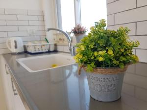 - un évier de cuisine avec une plante en pot sur un comptoir dans l'établissement קשת לכנרת, à Keshet