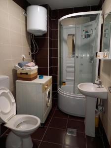 a bathroom with a toilet and a sink and a shower at Apartman Pivasevic in Sarajevo