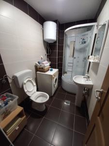 a bathroom with a toilet and a sink at Apartman Pivasevic in Sarajevo