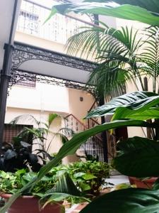 Zahrada ubytování Botánic Suite Malaga