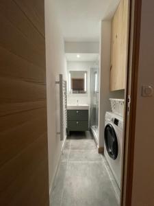 a kitchen with a washing machine and a sink at APPARTEMENT STATION LA JOUE DU LOUP PIED DES PISTES in Le Dévoluy