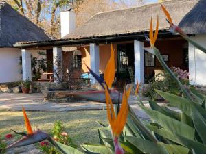 a house with orange flowers in front of it at Waterberg Cottages, Private Game Reserve in Vaalwater