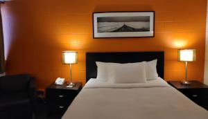 a hotel room with a bed and a lamp at Roadking Inns Motel in Calgary