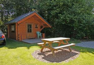 a picnic table in front of a small cabin at Blokhut Camping Alkenhaer in Appelscha