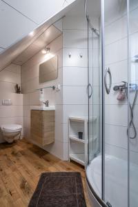 ein Badezimmer mit Dusche und Toilette in der Unterkunft Willa Cicha Woda III in Zakopane + 68 Fotos