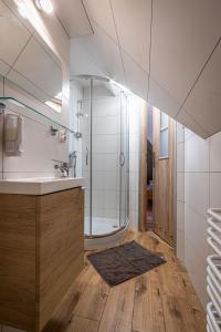 ein Badezimmer mit Dusche und Waschbecken in der Unterkunft Willa Cicha Woda III in Zakopane
