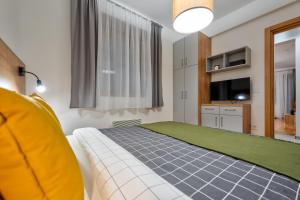 a bedroom with a large bed and a television at WALD Apartmani&SPA in Zlatibor