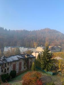 Príroda v okolí apartmánu
