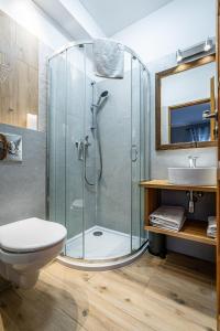 a bathroom with a shower with a toilet and a sink at Willa Cicha Woda Centrum in Zakopane