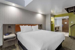 Gallery image of Best Western Plus Apple Valley Lodge Pigeon Forge in Pigeon Forge +34 photos