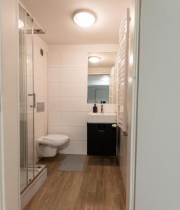 uma casa de banho com um WC, um lavatório e um chuveiro em Apartament Krakowska em Czestochowa