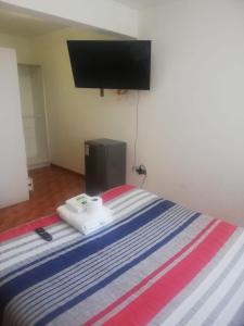 TV o dispositivi per l'intrattenimento presso Zigal hotel