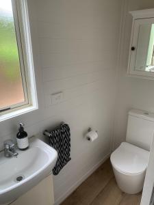 a bathroom with a sink and a toilet and a window at 125 Church Bay Cabins in Oneroa
