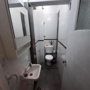 a small bathroom with a toilet and a sink at Departamento San Martín in Paraná