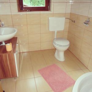 een badkamer met een toilet en een wastafel bij Vineyard Cottage Planinc in Črnomelj