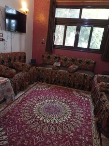 Awi Guest House في أسوان: غرفة معيشة مع أريكة وسجادة