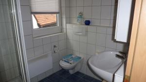 a small bathroom with a toilet and a sink at Ferienwohnung Irene in Ludwigschorgast +10 photos