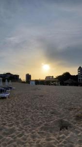 a beach with chairs and the sunset in the background at Апартаменты Aphrodite Roce in Sunny Beach