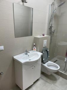 a bathroom with a sink and a toilet and a mirror at Apartament centrul vechi in Baia Mare +9 photos