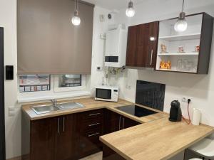 a kitchen with a sink and a microwave on a counter at Apartament centrul vechi in Baia Mare