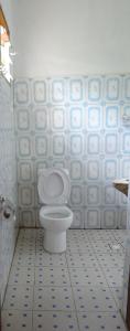 a bathroom with a toilet in a blue and white tiled wall at Kivu Beach Garden in Gisenyi