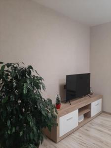 a living room with a tv and a potted plant at IR Apartment in Rēzekne