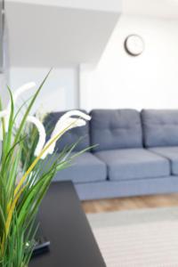 a living room with a blue couch and a plant at The 'Tailors' Apartment in Leicester