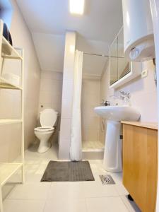 un baño con lavabo e inodoro en Mountain Heaven Apartment, en Kolašin