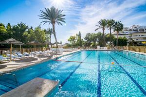 Fotografie z fotogalerie ubytování CL- 1 bedroom walking distance to Puerto Banus v destinaci Marbella