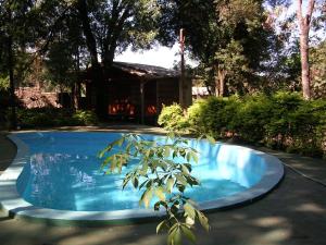 a swimming pool in a yard with a house at Cabañas Sueño Azul in Oberá