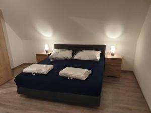 um quarto com uma cama azul e 2 almofadas brancas em Ferienhaus Trudi em Winterberg