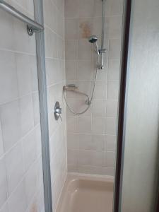 La salle de bains est pourvue d'une douche avec une porte en verre. dans l'établissement Ferienhaus Trudi, à Winterberg