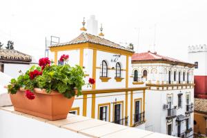 Balkon lub taras w obiekcie Hotel Boutique Elvira Plaza
