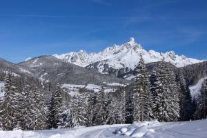 a snow covered mountain range with snow covered trees at Apartements Richlegghof in Filzmoos