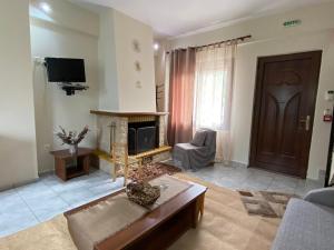 a living room with a couch and a fireplace at Artemis Mezonetes in Kalavrita