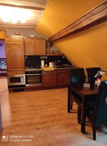 Kuchyň nebo kuchyňský kout v ubytování Apartmán Šumava u Rybáků