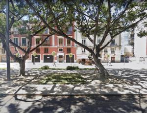 a group of trees in front of a building at Holidays2Malaga Central Alameda View in Málaga