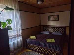ein kleines Bett in einem Zimmer mit Fenster in der Unterkunft Бодрість карпат in Slawske