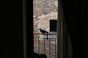 Fotografie z fotogalerie ubytování Casa Margherita v destinaci Mantova