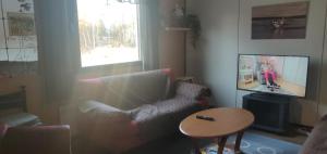 a living room with a couch and a tv at Ranta Antti 3 in Inari