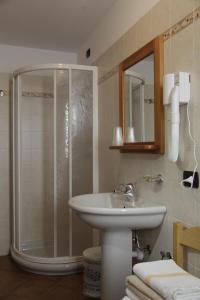 une salle de bain avec douche et lavabo dans l'établissement Residence Cavallino, à Ponte di Legno