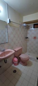 a bathroom with a pink toilet and a sink at Mirador Backpackers B&B in Huaraz +52 photos