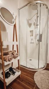 uma casa de banho com um chuveiro e um espelho. em Old Town Suite em Cracóvia