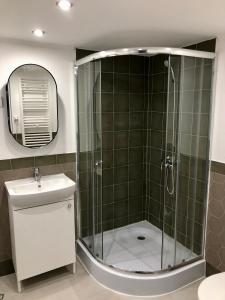 bagno con doccia, lavandino e specchio di PAU18 Apartments a Budapest